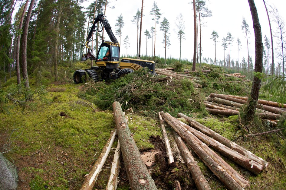 The Swedish forestry model — European Environment Agency
