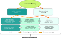 Assessing the environmental performance of bioenergy