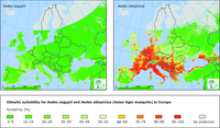 Climatic suitability for the mosquitos Aedes aegypti and Aedes albopictus in Europe
