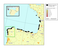Coastline affected by Prestige oil spills