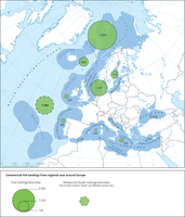 Commercial fish landings from regional seas around Europe