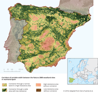 Corridors of variable width between the Natura 2000 woodland sites in mainland Spain