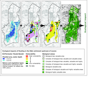 Ecological impacts of flooding in the Dijle catchment upstream of Leuven (Belgium)