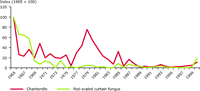 Effects of acidification and eutrophication on woodland fungi in the Netherlands