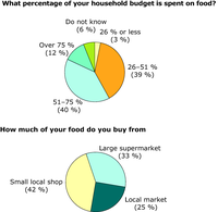 Food as a share of household budget, and place of purchase, Belgrade