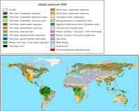 Global Landcover 2000