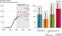 Historical trend in global agricultural demand for industrial nitrogen fertiliser 1910-2008, projections to 2100 based on RCP scenarios; and drivers of the projected changes in demand in 2100