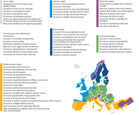 Key observed and projected climate change and impacts for the main regions in Europe