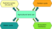 Land use and ecosystem cycles