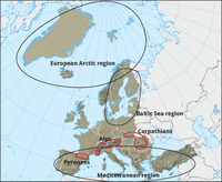 Macro Regions in Europe and Arctic