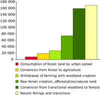 Main trends in woodland and forests formation, ha/year, 1990-2000, EEA-23