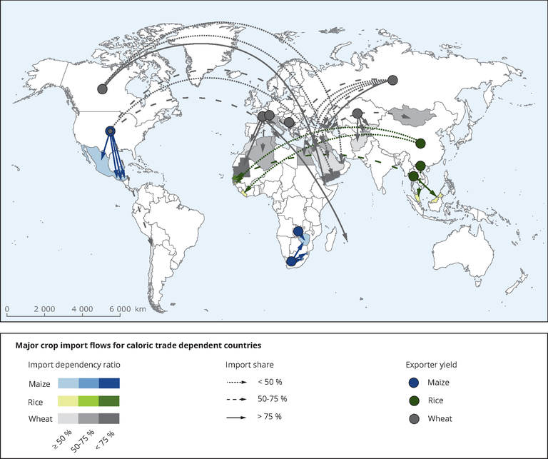 Biggest sale food importers