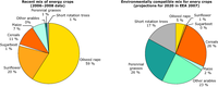 Mix of energy crops, 2006–2008 (left) and EEA scenario for environmentally compatible energy cropping in 2020 (right)