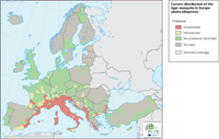 Known distribution of the tiger mosquito in Europe (Aedes albopictus)