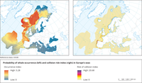 Probability of whale occurrence and collision risk index in Europe's seas