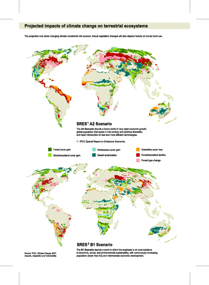 types of terrestrial ecosystem