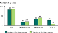 Qualitative composition of hauls in the Mediterranean deep sea fisheries for lobster and shrimp