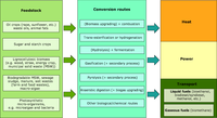 Routes for converting biomass to energy