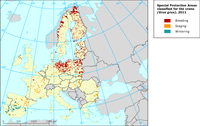 Special Protection Areas classified for the crane (Grus grus) across EU