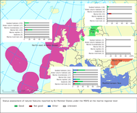 Status assessment of natural features reported by EU Member States under the MSFD