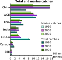 Total and marine catches