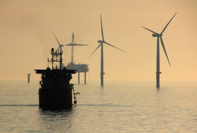 Managing the growth of offshore wind energy and marine ecosystem protection in Europe