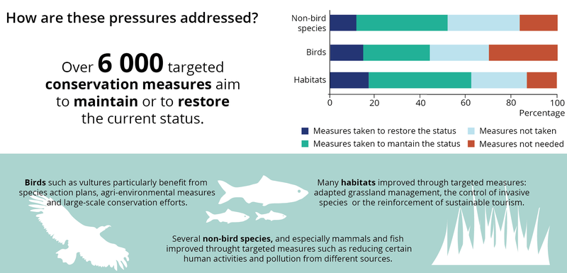 Alt text: Infographic with horizontal bar chart depicting the EU’s conservation strategies to address biodiversity pressures. Long description: The infographic is arranged in three main information sections. The top left area is dedicated to text, the top right section contains a stacked bar chart, and the bottom section contains a box with text and silhouettes of various organisms.  The text in the upper left section reads: “How are these pressures addressed?” Below this question, an answer reads, “Over 6,000 targeted conservation measures aim to maintain or to restore the current status.”  The stacked bar chart contains three categories along the X axis: non-bird species, birds, and habitats. The Y axis is a measure of percentage, from 0-100. Each stacked bar contains 4 different colors, which are delineated as follows: Dark blue represents measures taken to restore the status, Aquamarine represents measures taken to maintain the status, Light blue represents Measures not taken, and pink represents measures not needed. The breakdown for non-bird species is as follows: Measures taken to restore status, roughly 15%; measures taken to maintain the status, roughly 40%; measures not taken, roughly 35%, and measures not needed, roughly 15%. The breakdown for Birds is as follows: Measures taken to restore status is roughly 17%; measures taken to maintain the status, roughly 35%; measures not taken, roughly 25%; measures not needed, roughly 35%. The breakdown for habitats is as follows: measures taken to restore the status, roughly 18%; measures taken to maintain the status, roughly 45%; measures not taken, roughly 25%; measures not needed, roughly 12%.  The box with text and organisms silhouettes in the bottom of the image is laid out as follows: In the left third we see a silhouette of a buzzard, with text above it that reads, “Birds such as vultures particularly benefit from species action plans, agri-environmental measures, and large scale conservation efforts.” In the middle third we see a silhouette of three fish, text below that reads, “Several non-bird species, and especially mammals and fish, improved through targeted measures such as reducing certain human activities and population from different sources. In the right third we see a silhouette of some grass, with text above it that reads, “Many habitats improved through targeted measures: adapted grassland management, the control of invasive species, or the reinforcement of sustainable tourism.” 