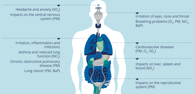 Infographic showing the impacts of air pollution on human health.