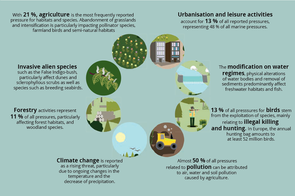 Biodiversity: State Of Habitats And Species - Department Of Ecosystems 