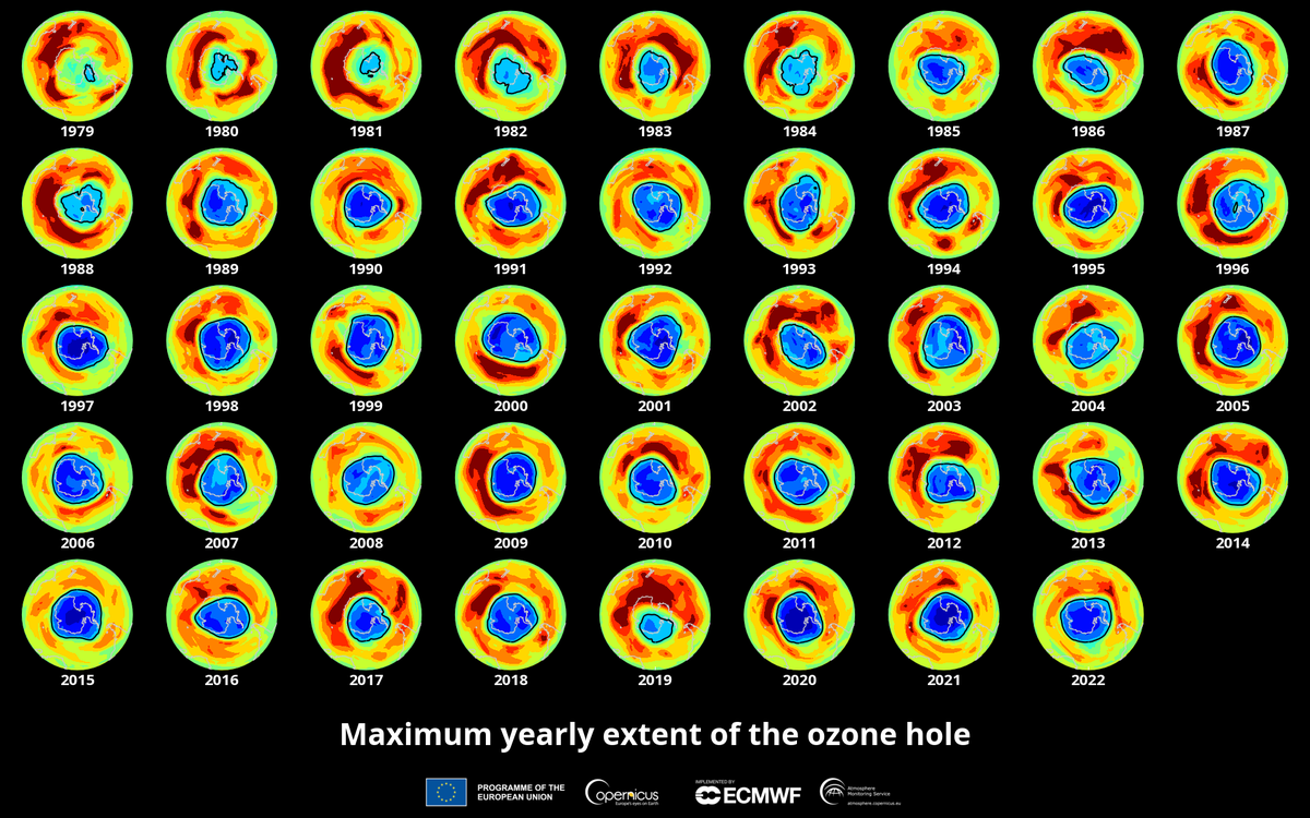 global warming effects on the ozone layer