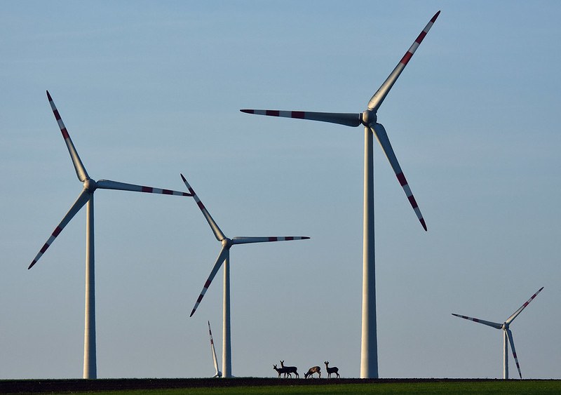 Image of four energy windmills in a clear sky with four grazing deer visible in the centre background.