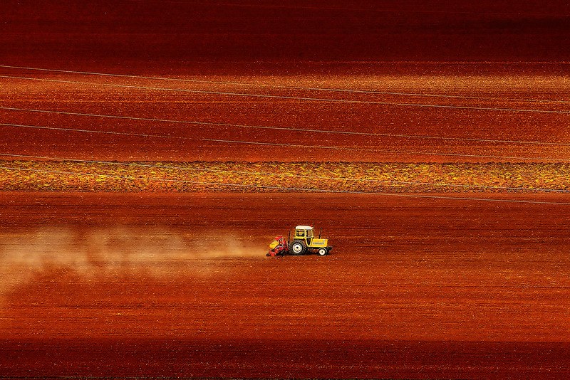 Picture taken from a distance of a yellow bulldozer in the centre moving from left to right and mowing an orange field.