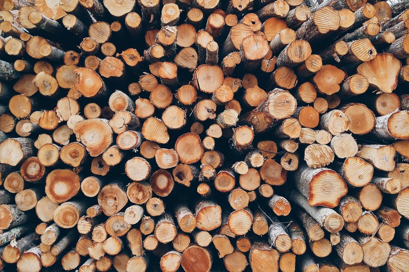 Picture of cut raw tree trunks stacked on top of each other.