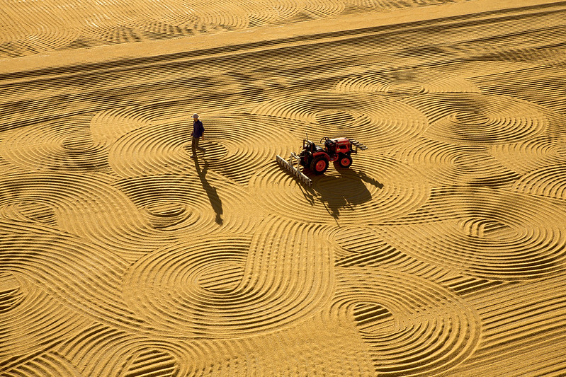 Picture of a man walking away from a bulldozer after having made circular patterns in the sand.