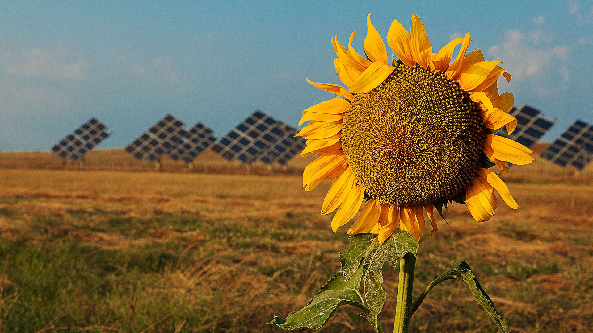 Oltre La Gestione Dei Rifiuti E Verso Una Economia Verde Agenzia Europea Dell Ambiente