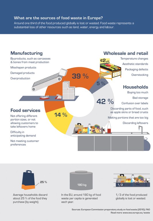 What are the sources of food waste in Europe? — European Environment Agency