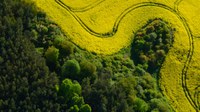 Zanieczyszczenie gruntów i gleb — powszechne, rosnące i szkodliwe