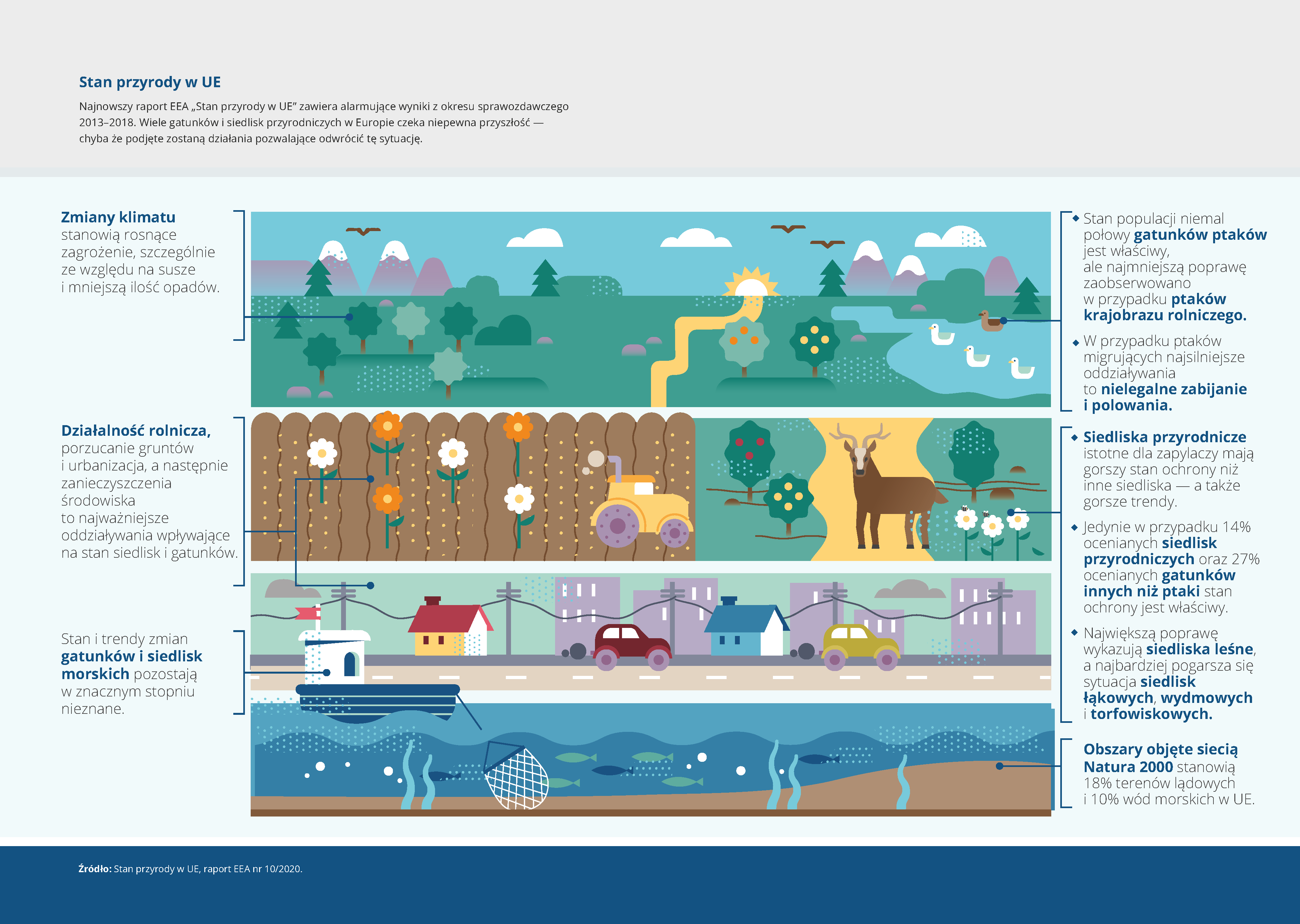 Najnowszy raport EEA „Stan przyrody w UE” zawiera alarmujące wyniki z okresu sprawozdawczego 
2013–2018. Wiele gatunków i siedlisk przyrodniczych w Europie czeka niepewna przyszłość — 
chyba że podjęte zostaną działania pozwalające odwrócić tę sytuację.