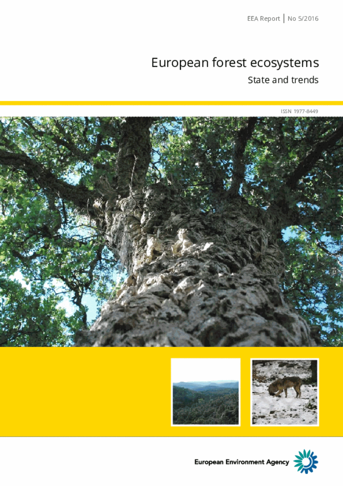 European Forest Ecosystems State And Trends European Environment Agency