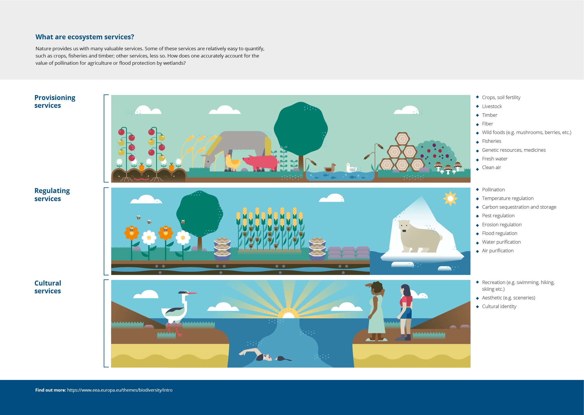 PDF) Ecosystem service value assessment for constructed wetlands
