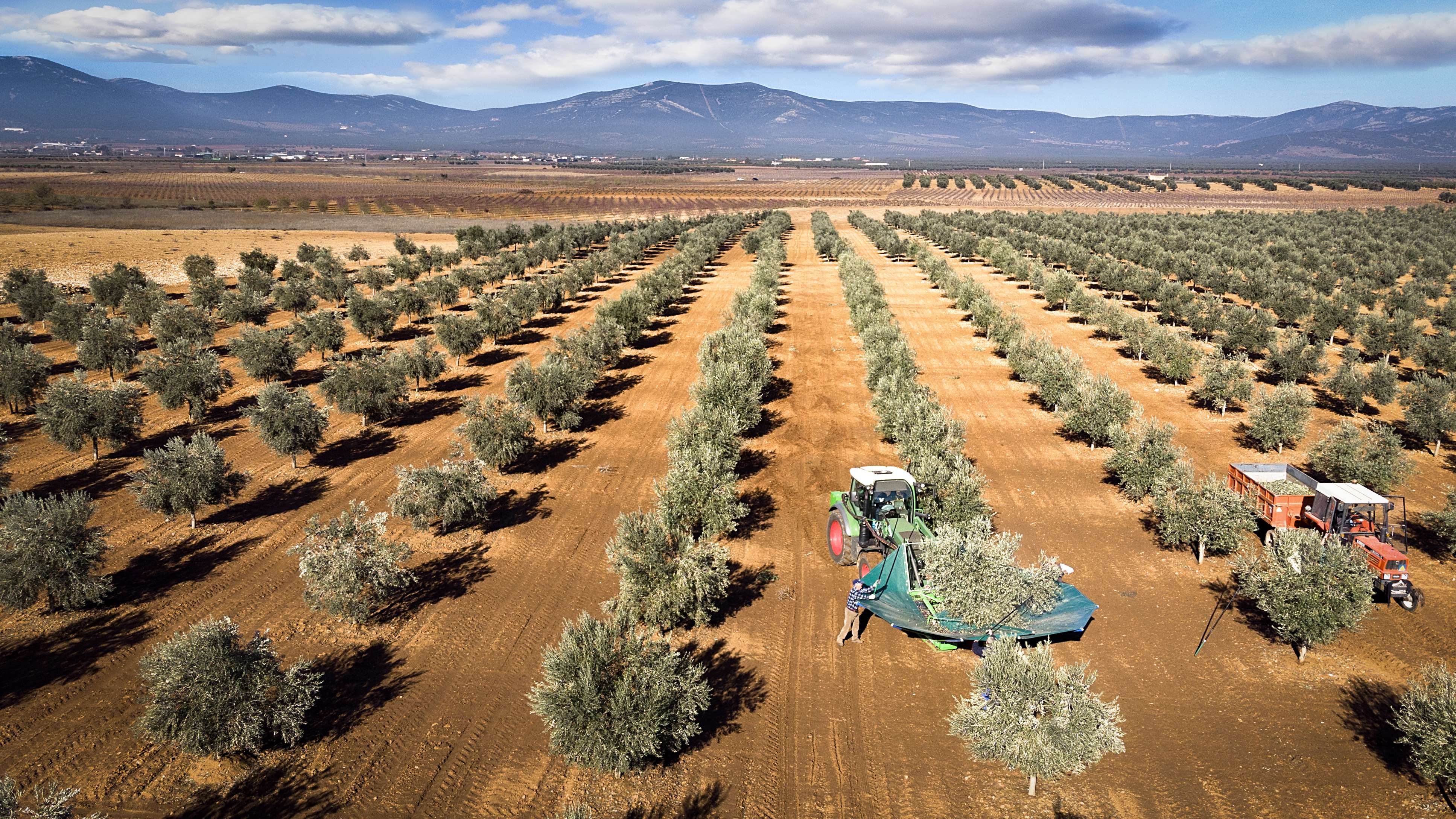 Changing Menus Changing Landscapes Agriculture And Food In Europe European Environment Agency