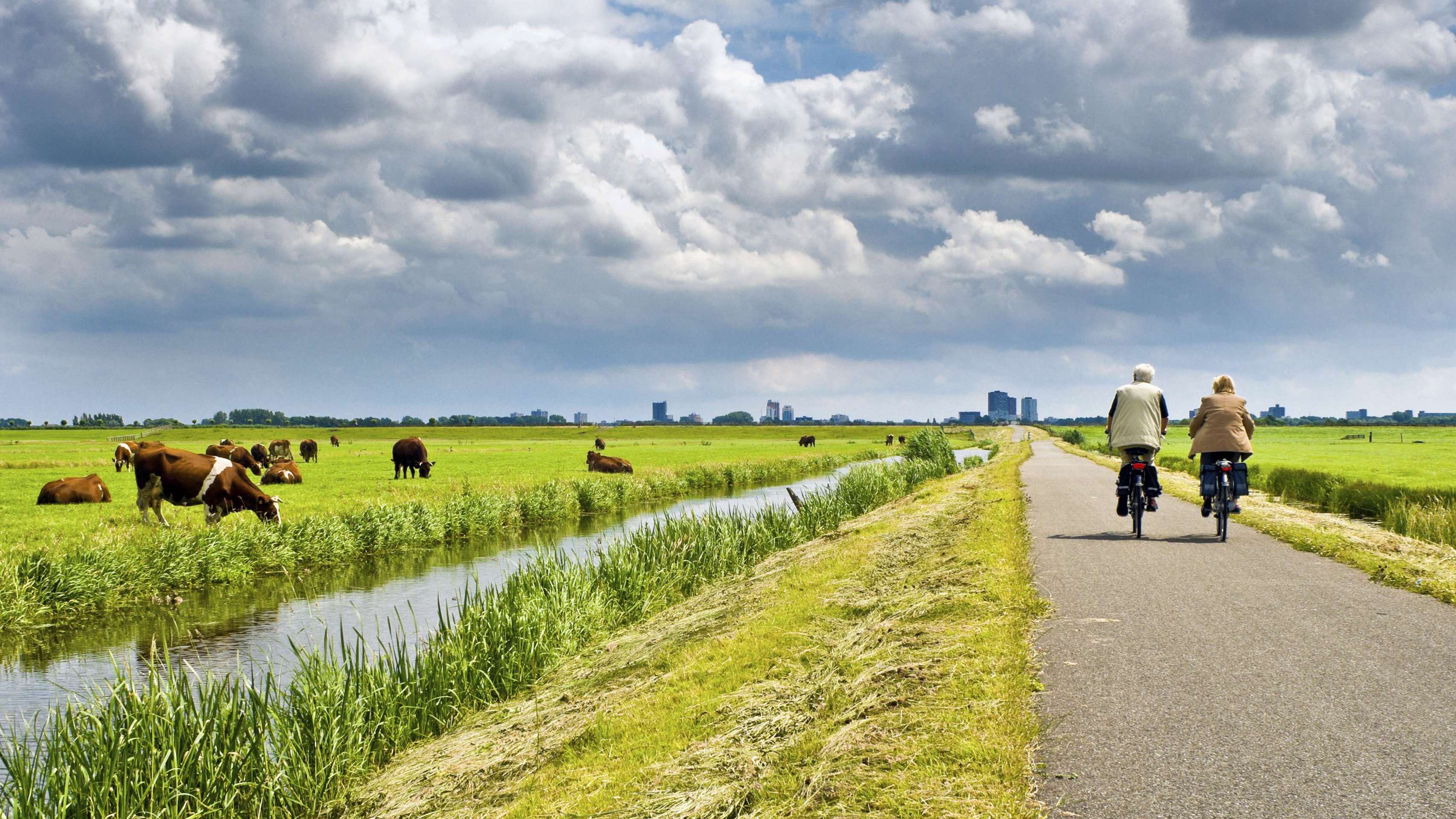 The Netherlands Country Briefing The European Environment State And Outlook 2015 European Environment Agency