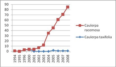 Figure 2. Number of known Caulerpa racemosa and Caulerpa taxifolia sites in Croatia \u2014 European ...